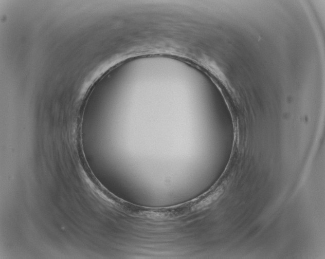 X0000081451500200701261859