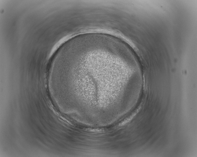 X0000081451501200701261859