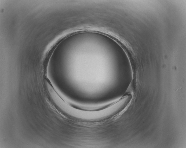 X0000081451502200701261859