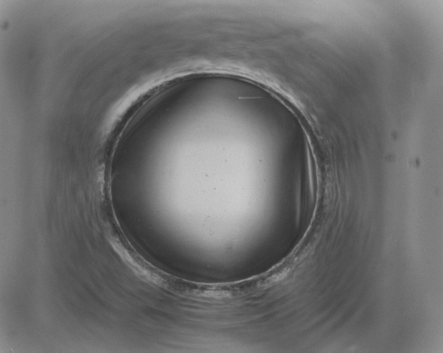 X0000081451503200701261859