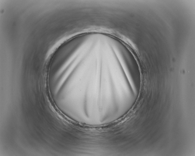 X0000081451504200701261859