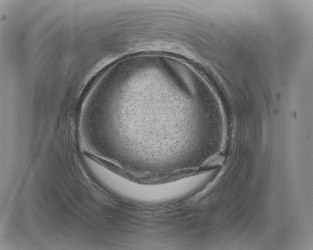 X0000081451505200701261859