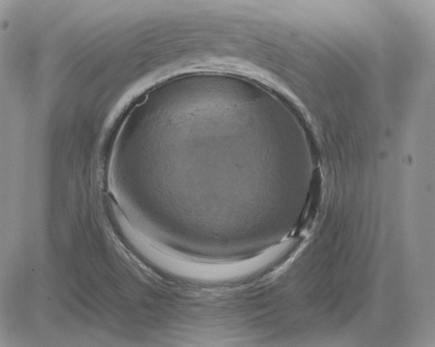 X0000081451506200701261859