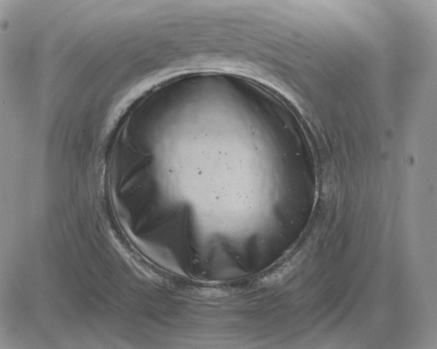 X0000081451507200701261859