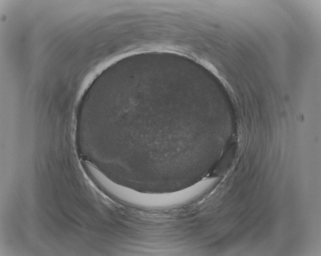 X0000081451508200701261859