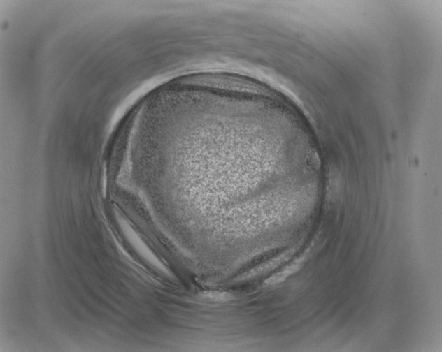 X0000081451509200701261900