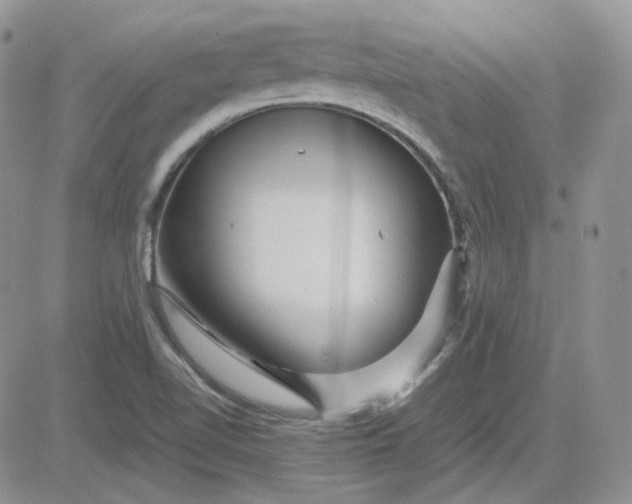 X0000081451510200701261900