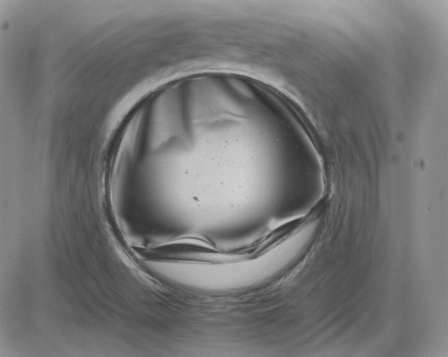 X0000081451511200701261900