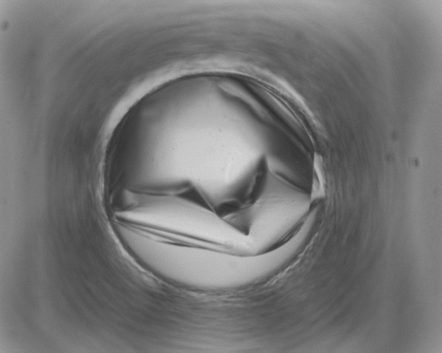 X0000081451512200701261900