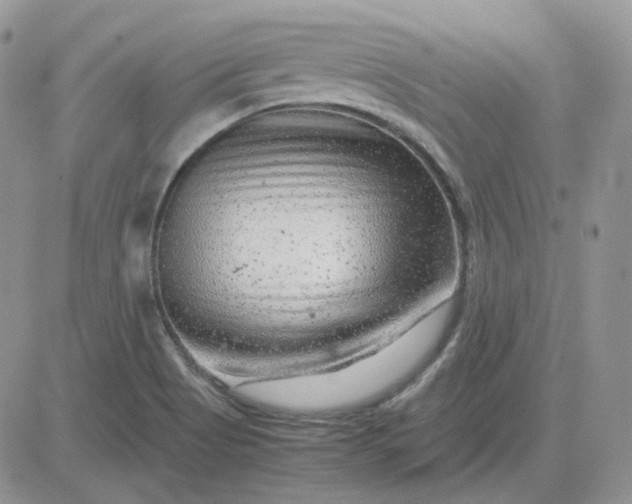 X0000081451513200701261900