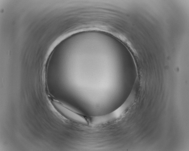 X0000081451516200701261900