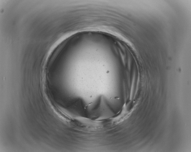 X0000081451517200701261900