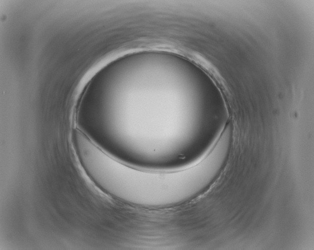 X0000081451520200701261900