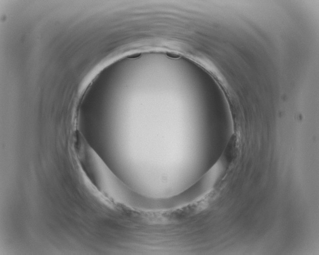 X0000081451524200701261900