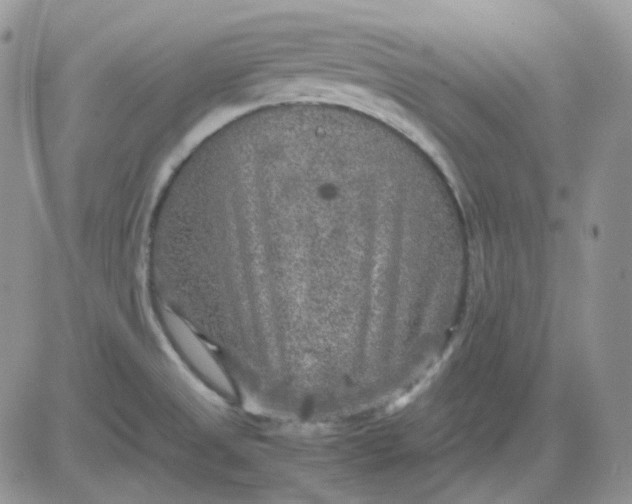 X0000081451525200701261900