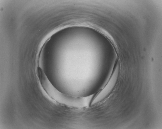 X0000081451528200701261900