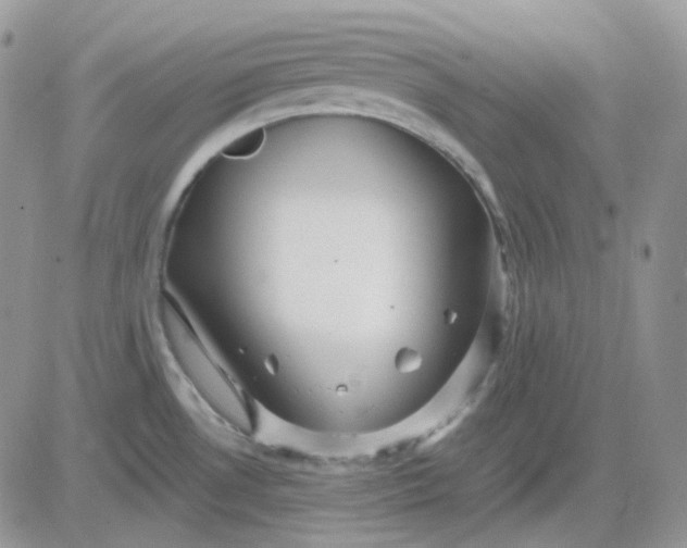 X0000081451530200701261900