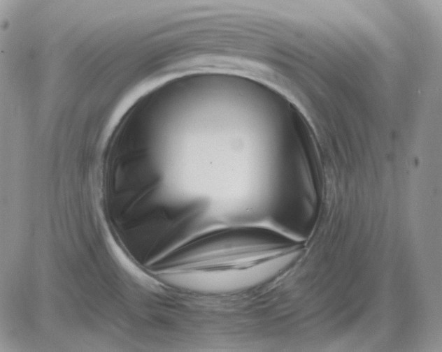 X0000081451531200701261900