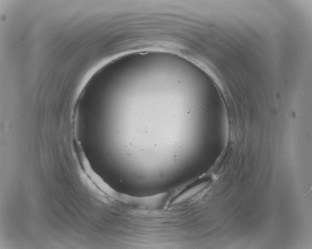 X0000081451532200701261900