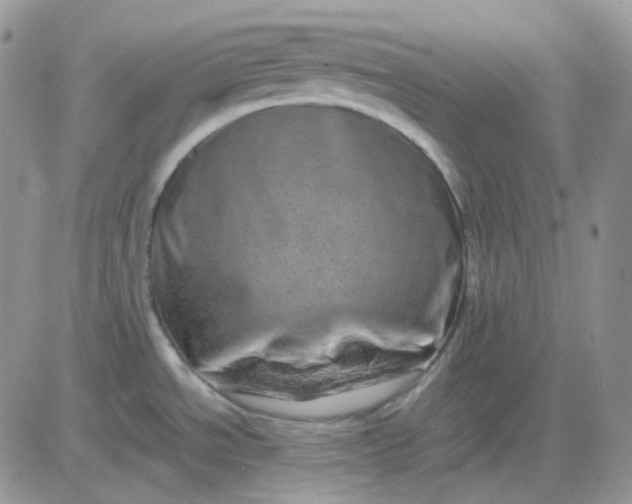 X0000081451534200701261900