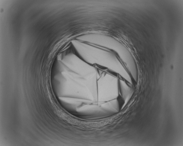 X0000081450001200702021754