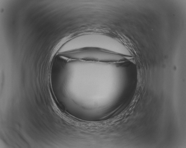 X0000081450003200702021754
