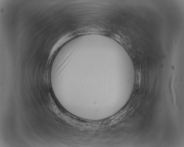 X0000081450004200702021754