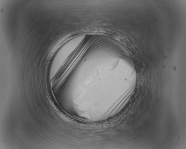 X0000081450005200702021754