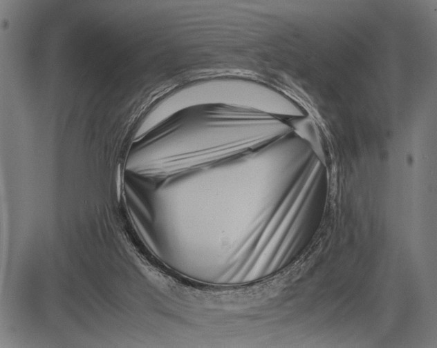 X0000081450013200702021754