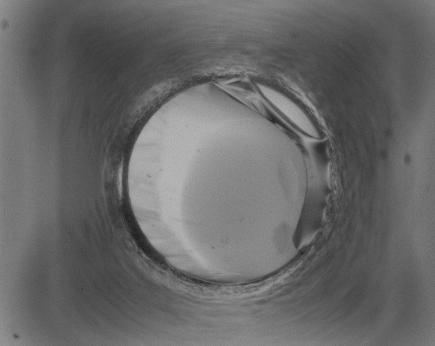 X0000081450019200702021754