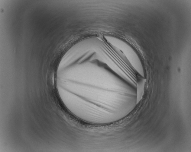 X0000081450021200702021754