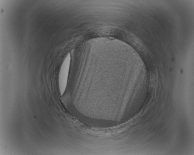 X0000081450029200702021753