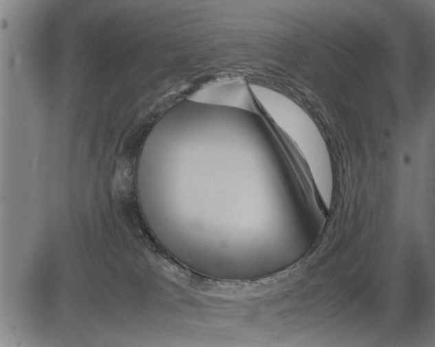 X0000081450037200702021753