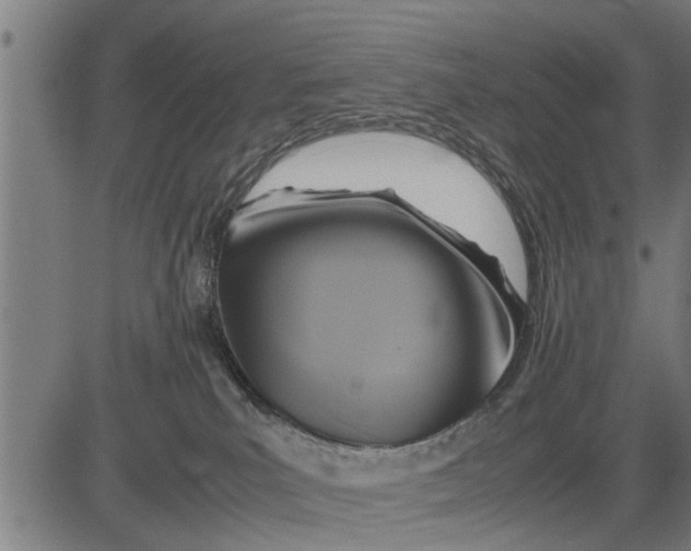 X0000081450039200702021753
