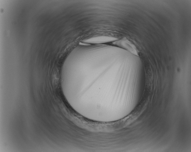 X0000081450040200702021753