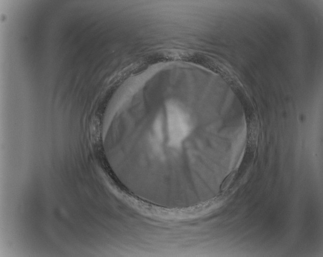 X0000081450043200702021753
