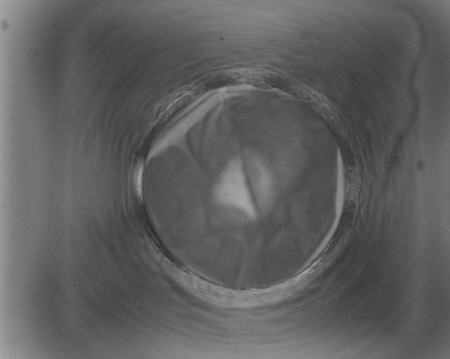 X0000081450047200702021753
