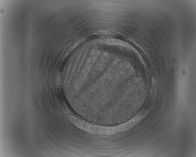 X0000081450048200702021753