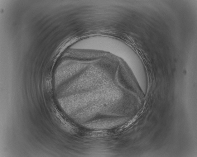 X0000081450050200702021752