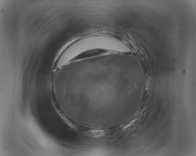 X0000081450052200702021752