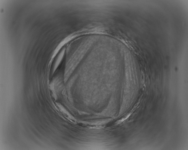 X0000081450056200702021752