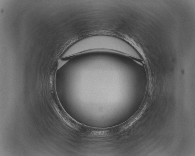X0000081450057200702021752