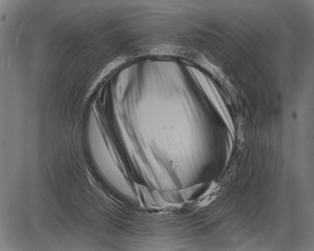 X0000081450060200702021752