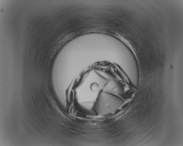X0000081450061200702021752
