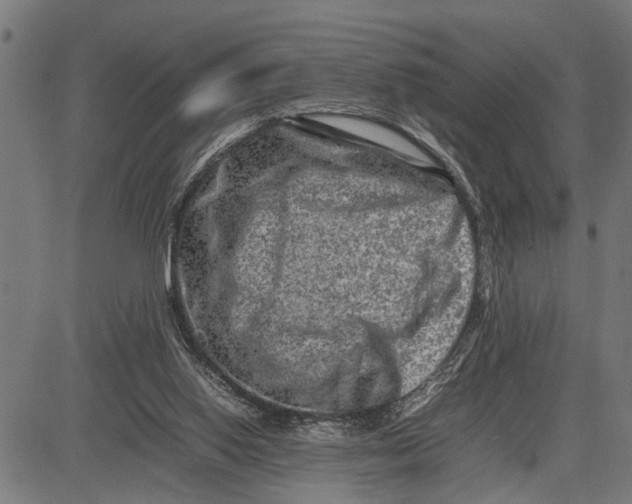X0000081450062200702021753