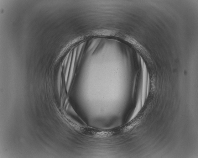 X0000081450064200702021753