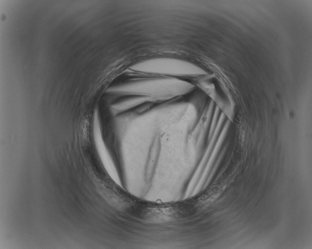 X0000081450071200702021753