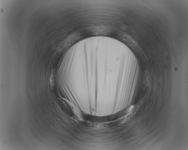 X0000081450074200702021753