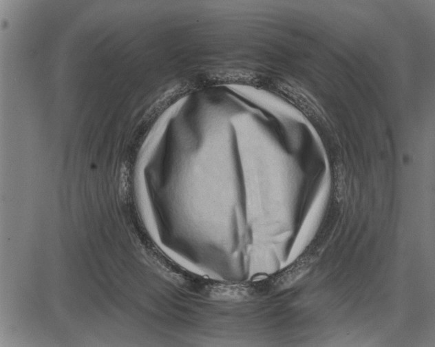 X0000081450077200702021753
