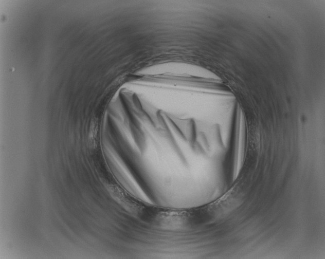 X0000081450082200702021753
